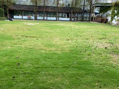 -前小桔亲子创意农场·草莓采摘·露营烧烤