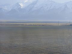 -山丹皇家马场