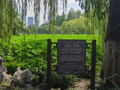 -包公祠