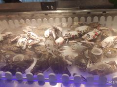 -和谐号蒸汽海鲜烤肉自助餐厅(欧亚新生活店)