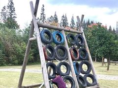 -前小桔亲子创意农场·草莓采摘·露营烧烤