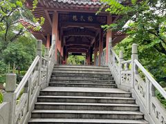 -柳侯公园