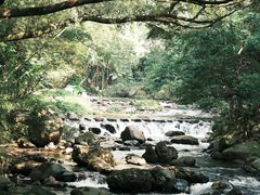 -广州市石门国家森林公园