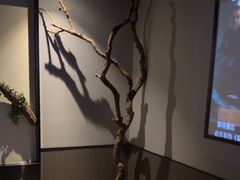 -上足·影院足道·SPA(红岭店)