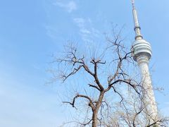 -龟山风景区-龟山电视塔