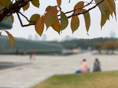 -金陵图书馆