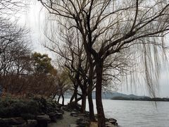 -苏堤停车场
