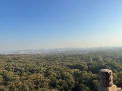 -灵谷景区