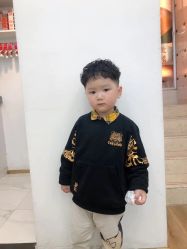 -YESIDO椰岛造型