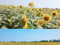 -苏州吴中太湖旅游区