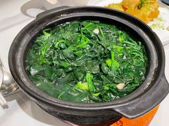 -荟廷·晶萃(陆家嘴尚悦湾店)