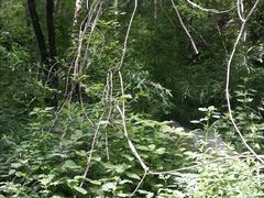 -洛阳白云山景区