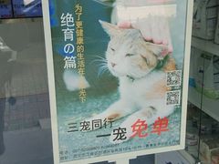 -伟伟宠物医院·CT影像中心·瑞派犬猫综合性门诊(汉口总院)