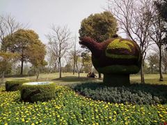 -盆景园(扬州大运河文化旅游度假区)