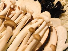 -老墙根涮肉·铜锅·烧烤(欢乐谷·王四营店)