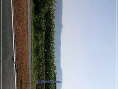 -光明小镇欢乐田园