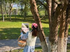 -白鹭湾湿地公园