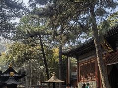 -潭柘寺景区