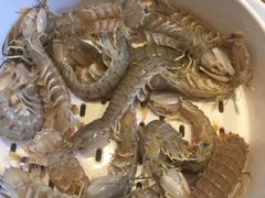 -苏大嘴海鲜牧场(奥林匹克店)