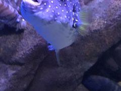 -多彩贵州城极地海洋世界