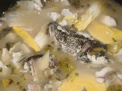 -周渝食惦酸菜鱼(青浦店)