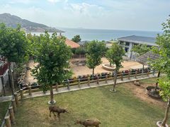 -西霞口神雕山野生动物世界