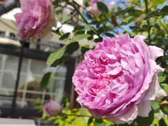 -三仟津花园咖啡馆