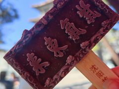 -沈阳市东陵公园