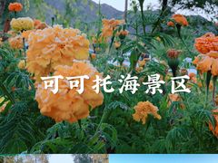 -可可托海景区