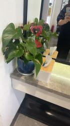 -LJOY丽锦造型·烫发染发