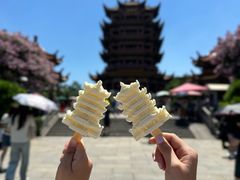 -黄鹤楼公园(黄鹤楼)