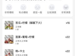 -南澳岛打卡果汁冰公司