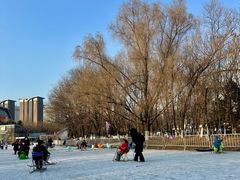 -沈阳奥体冰雪嘉年华