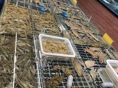 -骆驼阿三饭店(迪赛邻里店)