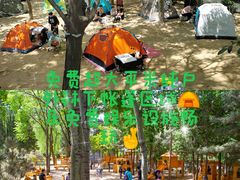 -南宫五洲植物乐园