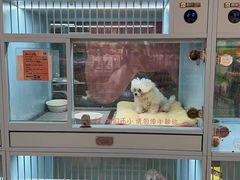 -FAELING PETS美天灵宠物(合生汇店)
