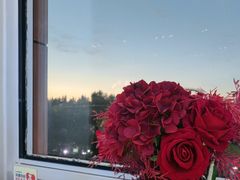 -圣彼得堡观江俄餐厅(中央大街黑金冠店)