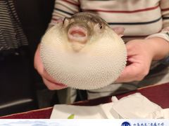 -永安鱼庄·镇江菜(东吴路店)