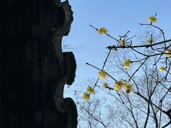 -虎丘山风景名胜区