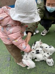 -萌宠亲子动物乐园(槐房万达店)