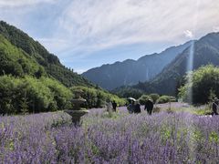 -九寨沟爱情海景区