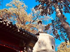 -潭柘寺景区