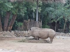 -北京野生动物园