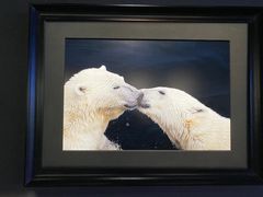 -罗红摄影艺术馆