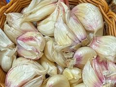 -马振面(小皮院店)