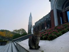 -华东政法大学(松江校区)