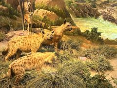 -陕西自然博物馆