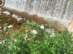 -陕西省红河谷森林公园