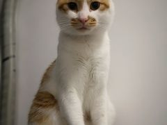 -闪电修企业手机电脑回收(西湖风景名胜区店)