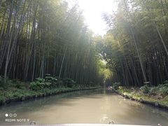 -同里国家湿地公园